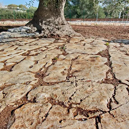 Διαμέρισμα Trullo San Giovanni